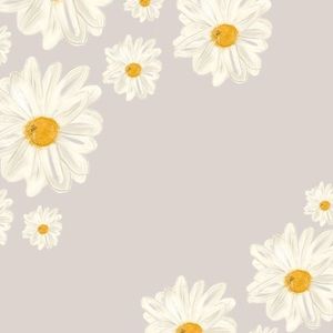 Meet your Posher, Allie